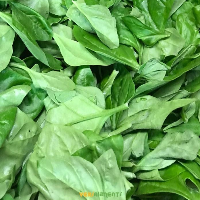 Espinaca Fresca y Nutritiva | Rica en Vitaminas y Minerales