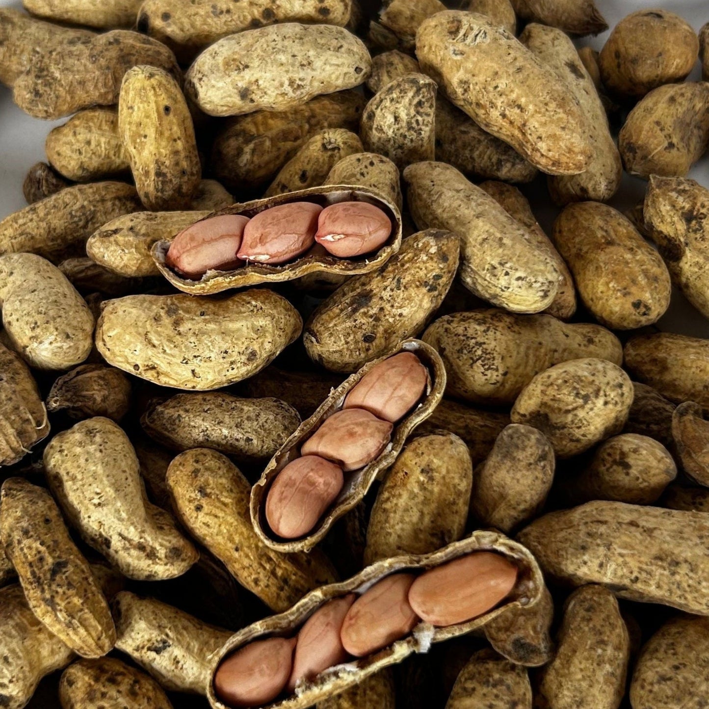 Cacahuate - Maní con cascara