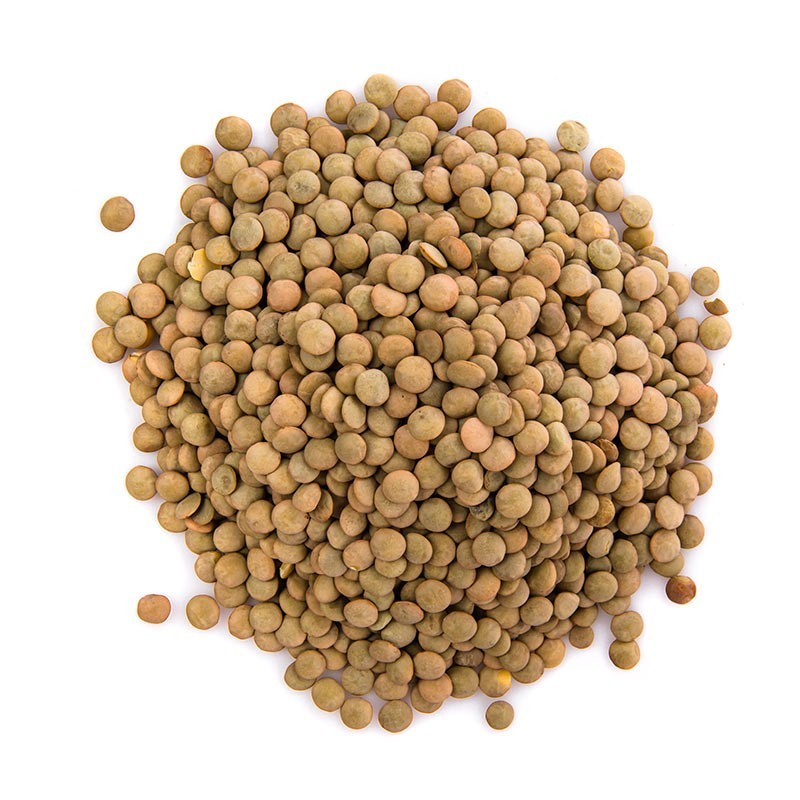 Lentejas a granel y Ricas en Nutrientes