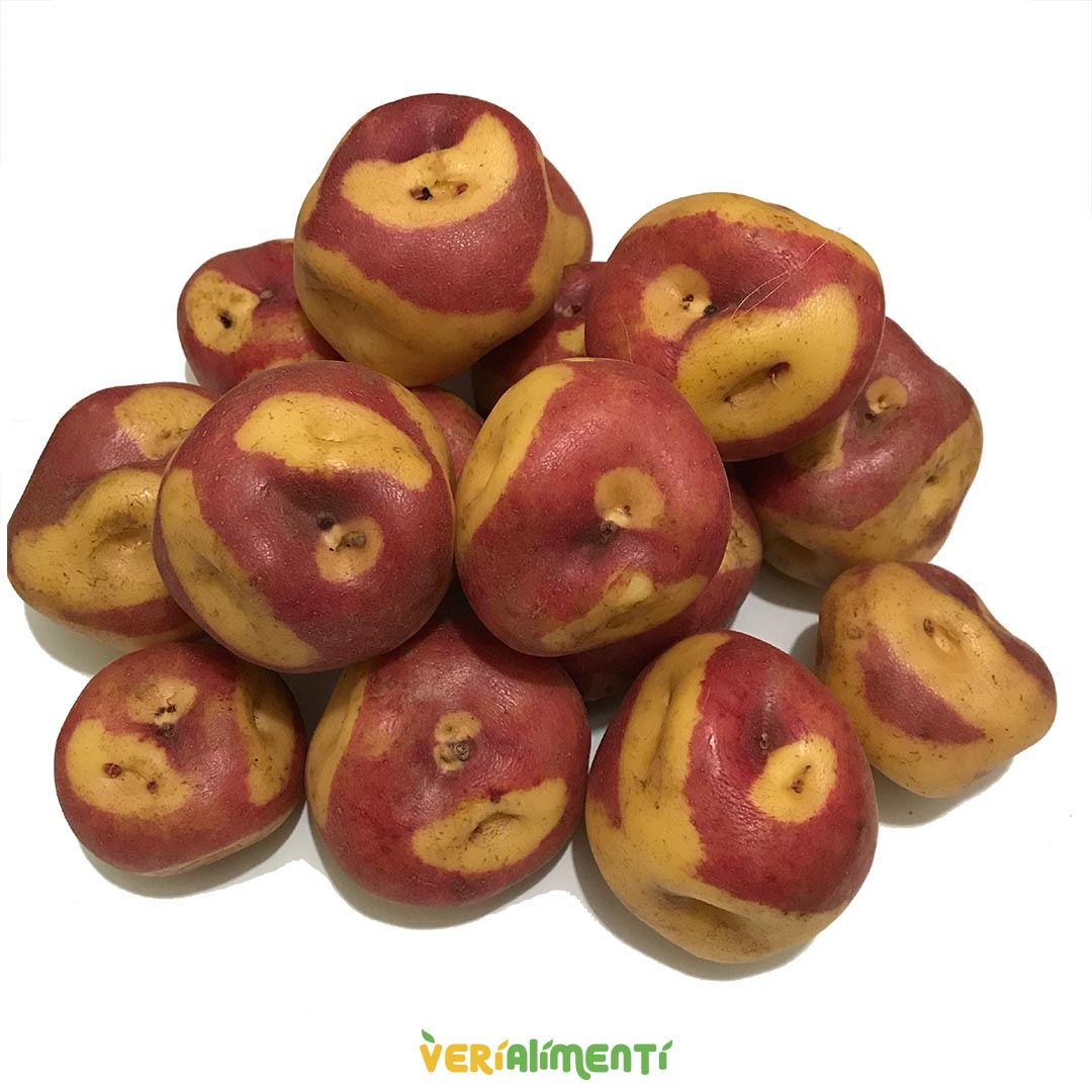 Papa Mambera o sabanera récien cosechada