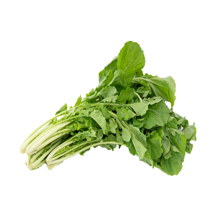 Rugula Fresca y Nutritiva | Rica en Vitaminas y Minerales