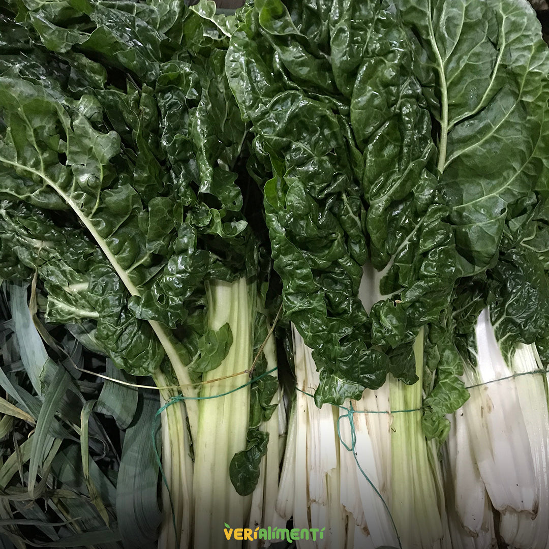 Acelgas Frescas y Nutritivas