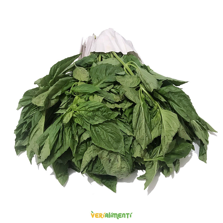 Albahaca Genovesa Fresca y Aromática