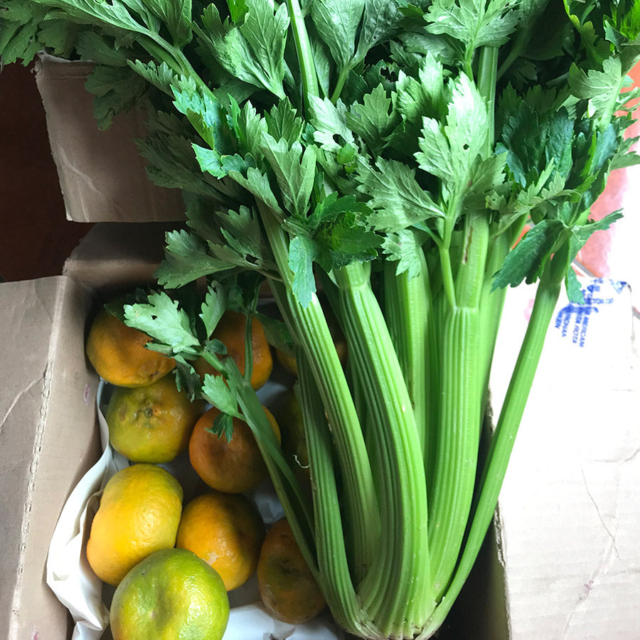 Apio Fresco y Saludable