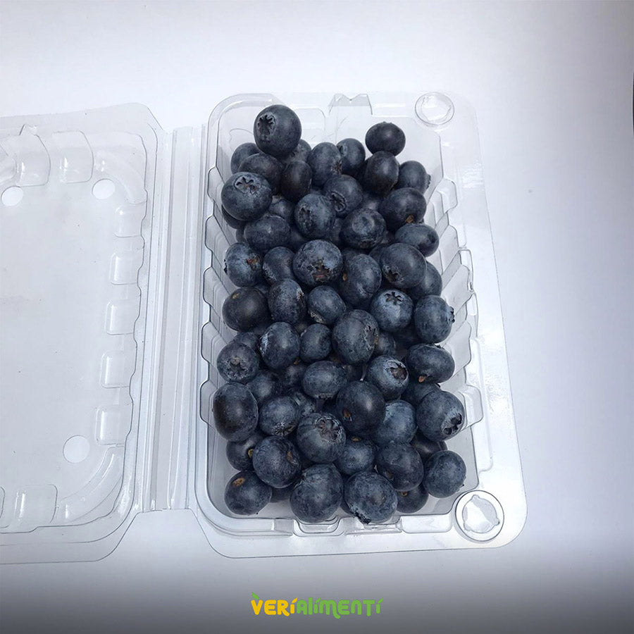 Arándanos Frescos y Antioxidantes