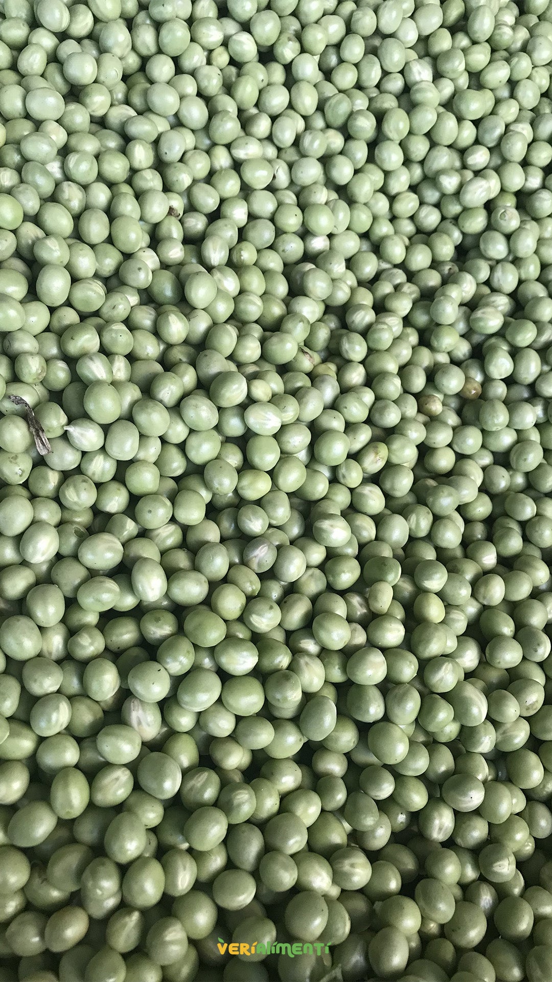 Arveja Fresca y Nutritiva