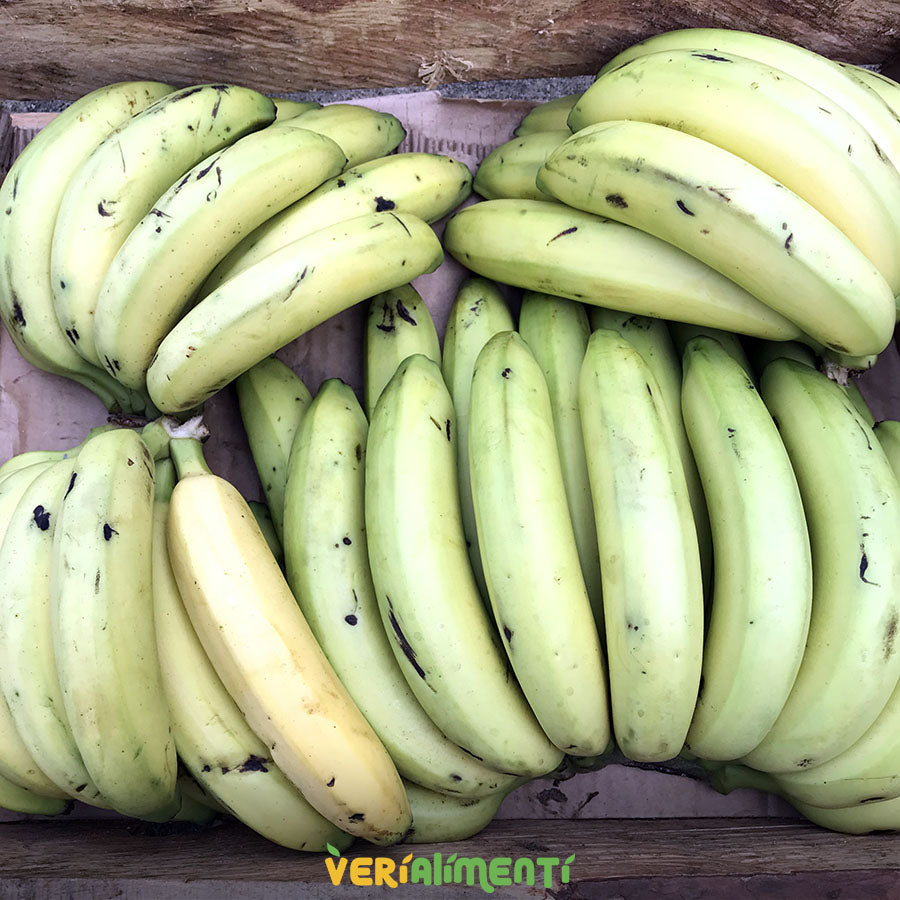 Bananos Frescos y Nutritivos