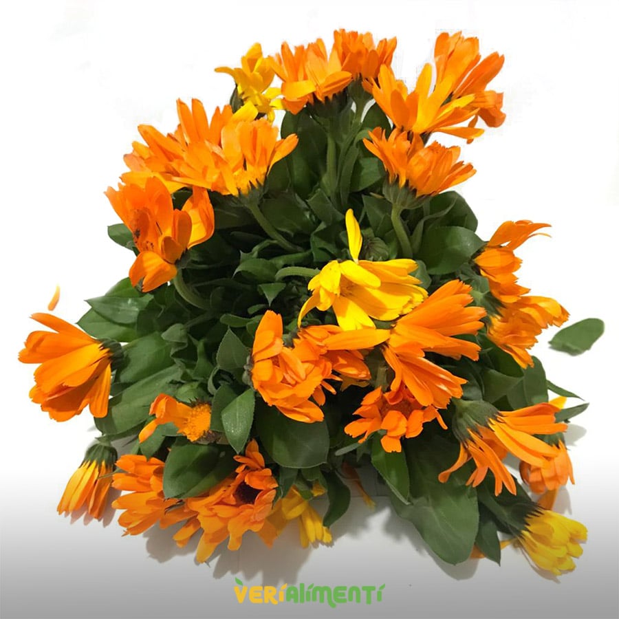 Caléndula Fresca Hierba Medicinal y Aromática