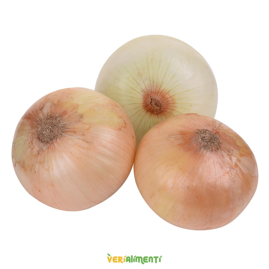 Cebolla Cabezona Blanca Fresca | Sabor y Salud