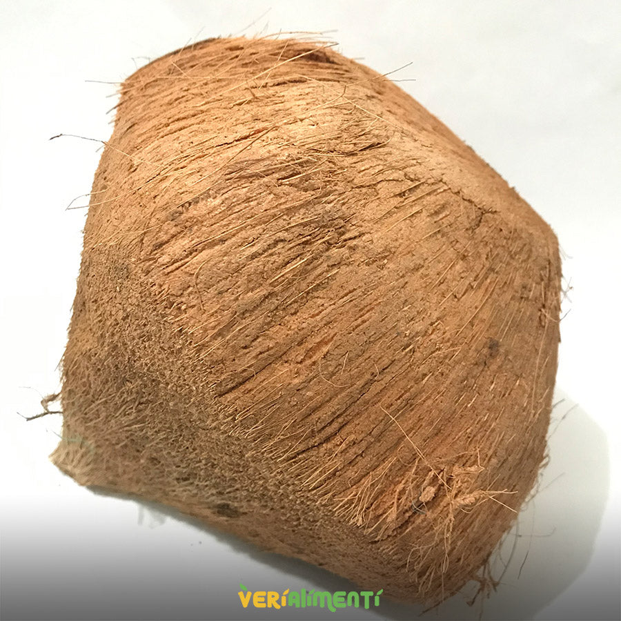 Coco sin pelar - Unidad