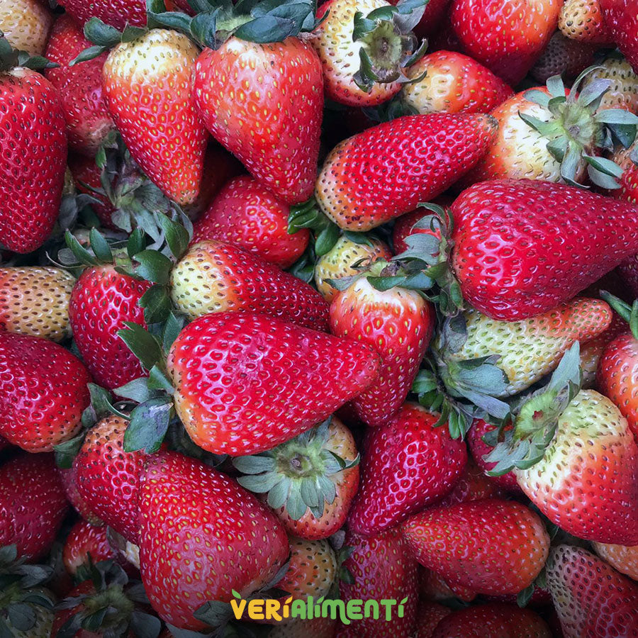 Fresas Frescas y Dulces | Jugosas y Nutritivas