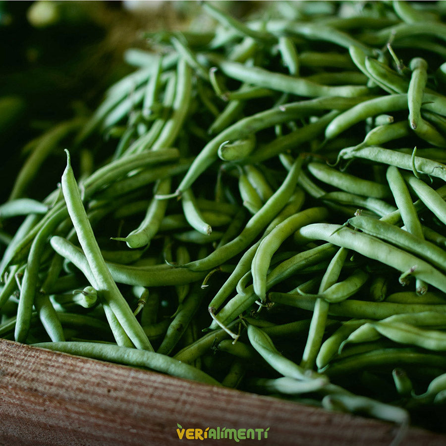 Habichuela Fresca | Rica en Fibra y Nutrientes Esenciales