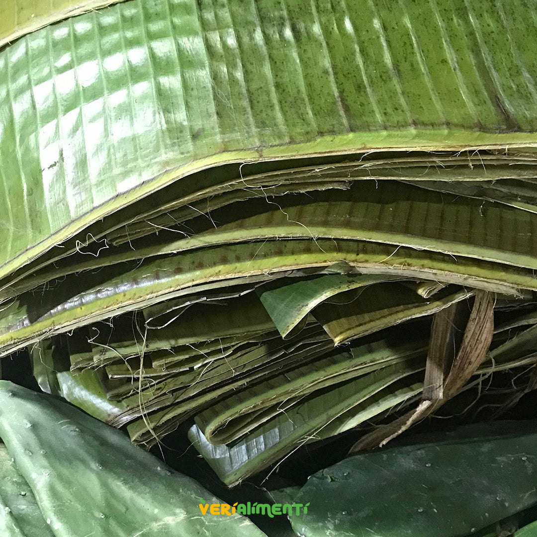 Hojas de Plátano Frescas | Versatilidad Culinaria y Propiedades Naturales