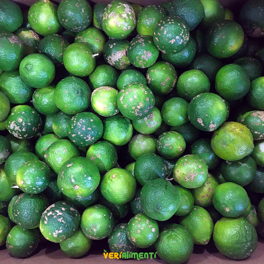 Limón Mandarino Fresco y Aromático | Cítrico Premium