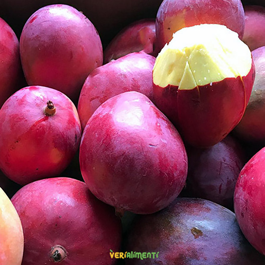 Mango Tommy Maduro y Jugoso | Sabor Exquisito y Frescura