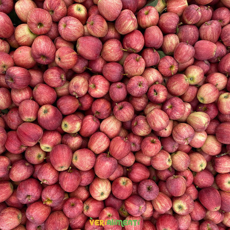 Manzana Gala Fresca y Dulce | Sabor y Nutrición a tu Puerta