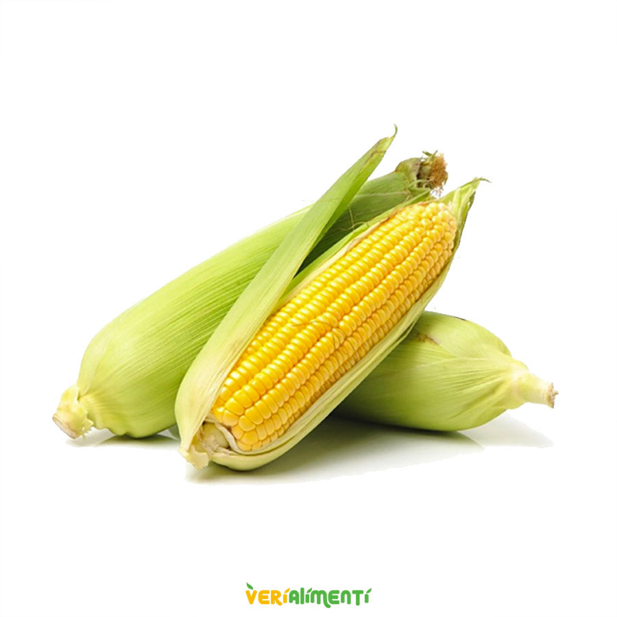 Mazorca Amarilla Dulce Fresca| Sabor Natural y Dulzura Auténtica
