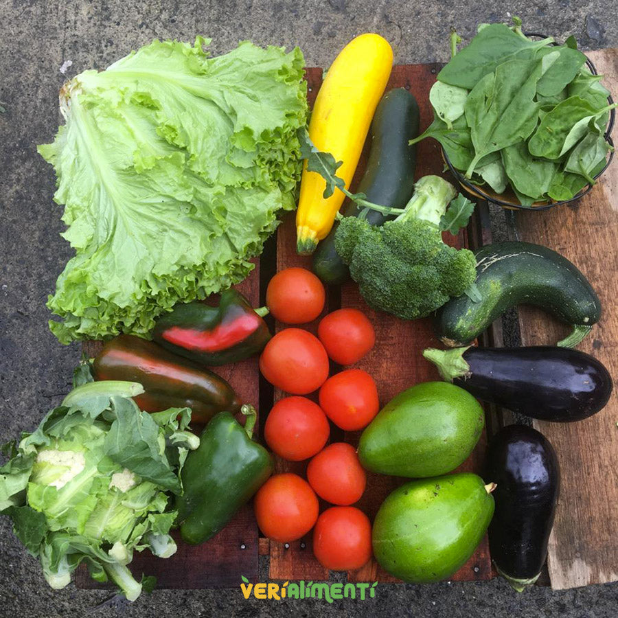 Mercado Trece® - Frutas y Vegetales Frescos, Saludables y Prácticos