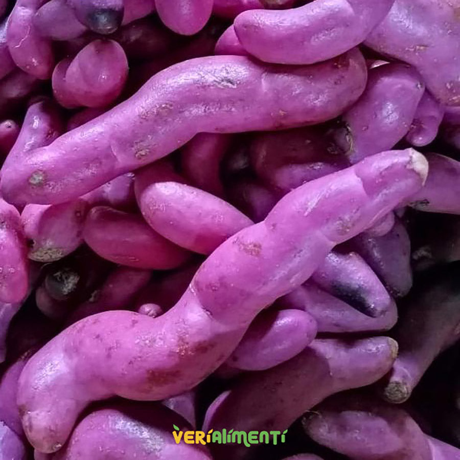 Ollucos Frescos | Deliciosos y Nutritivos