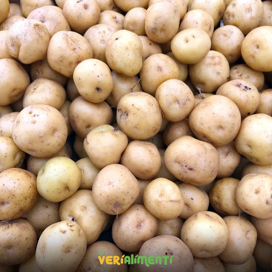 Papa Amarilla Fresca | Sabor y Nutrición Andina