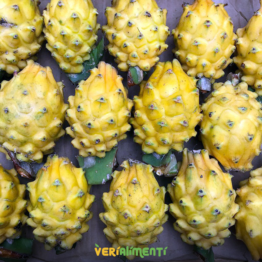 Pitaya Fresca - Sabor Exótico y Refrescante |