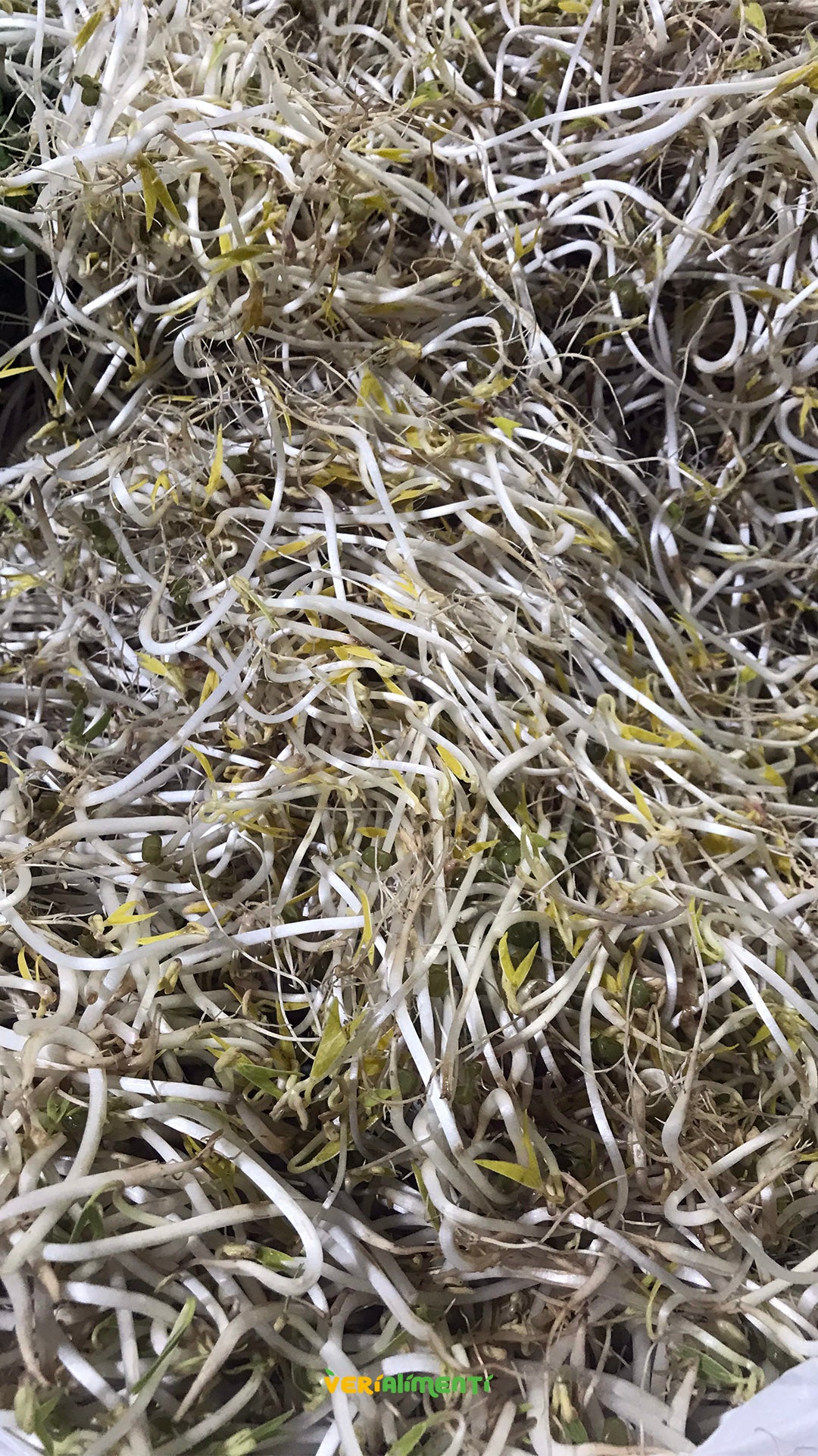 Raíces Chinas Frescas - Sabores Únicos y Nutritivos