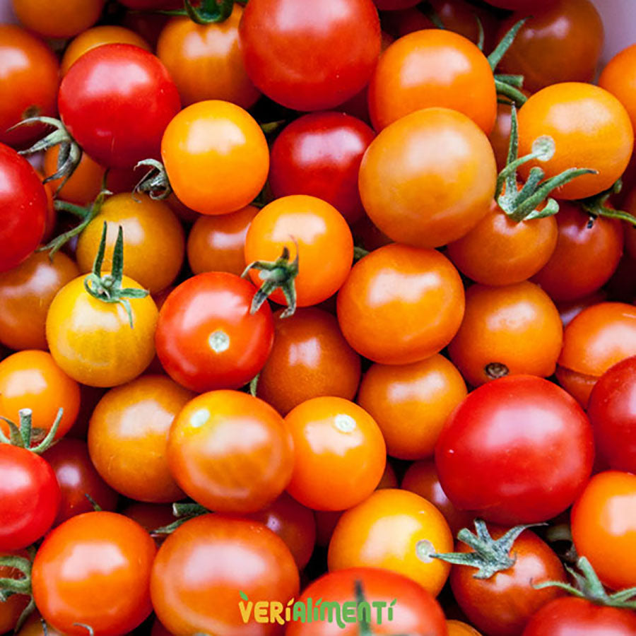 Tomate Cherry Fresco - Dulce, Nutritivo y Perfecto para Snacks
