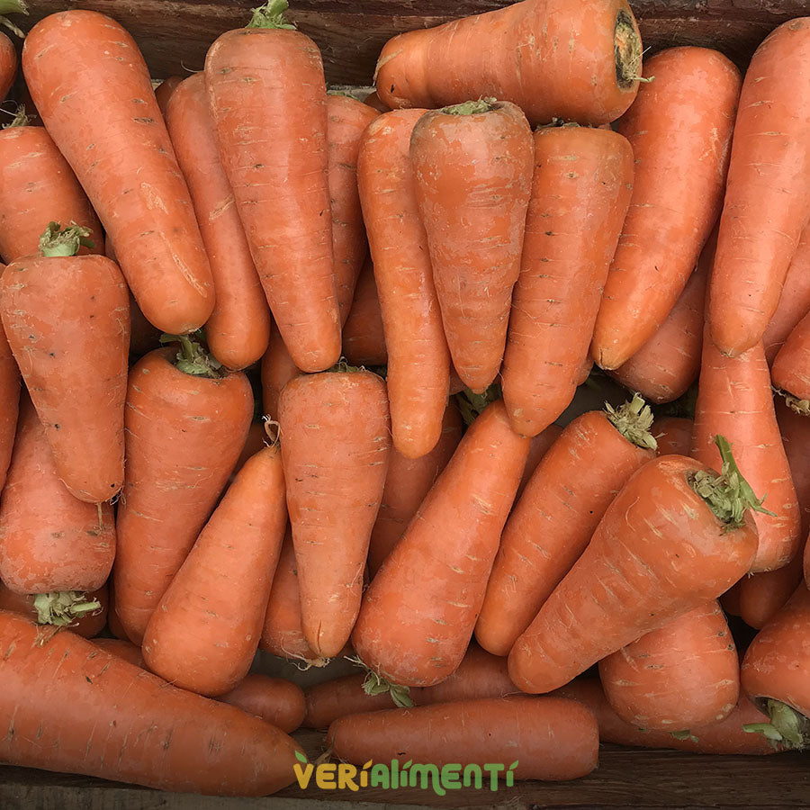 Zanahoria Fresca y Natural - Rica en Nutrientes