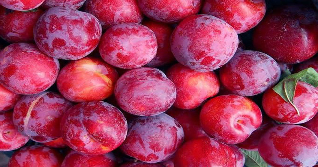 Ciruela Nacional en Cosecha: Frescura, Sabor y Temporada en Cali