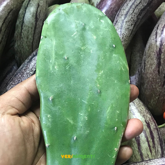 Nopal o Cactus de Higo Chumbo Fresco | Beneficios Saludables