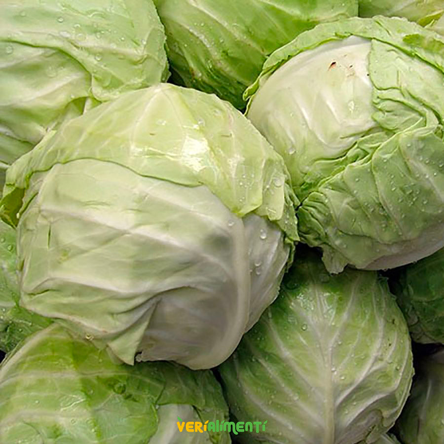 Repollo Blanco Fresco - Nutritivo y Versátil para tu Cocina | Verduras ...